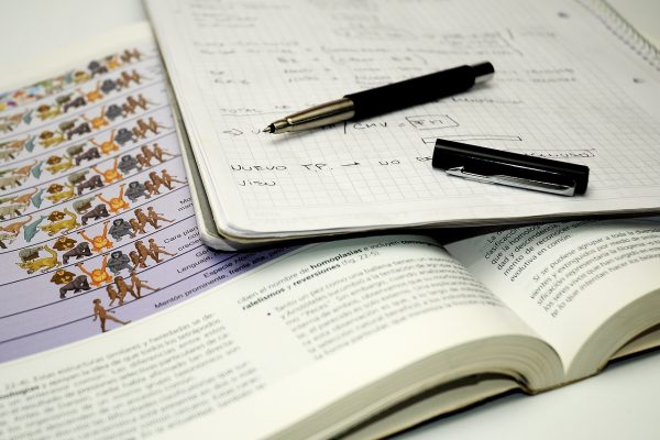 Term Paper: A Comprehensive Guide